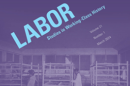 The ILO, the Politics of Statistics, and Changing Perceptions of Informal Work, 1970–Present